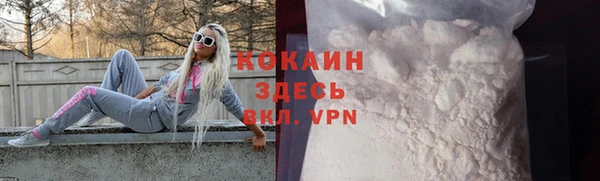дживик Бронницы