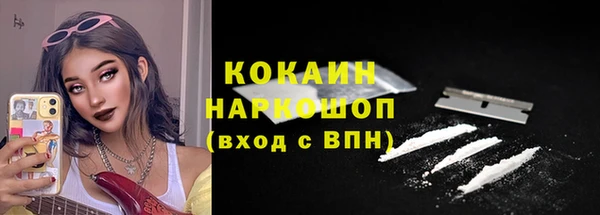дживик Бронницы