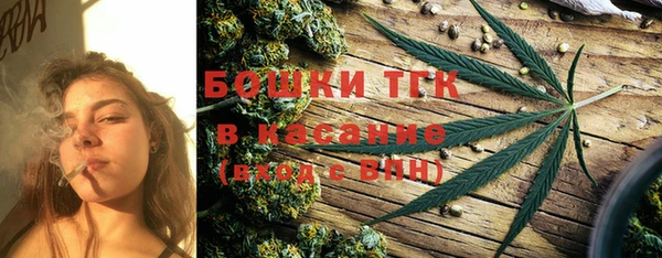 дживик Бронницы