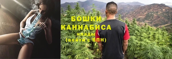 дживик Бронницы