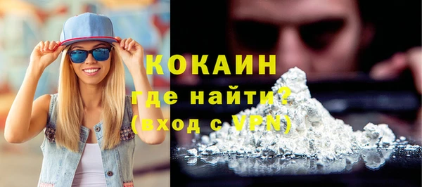 дживик Бронницы