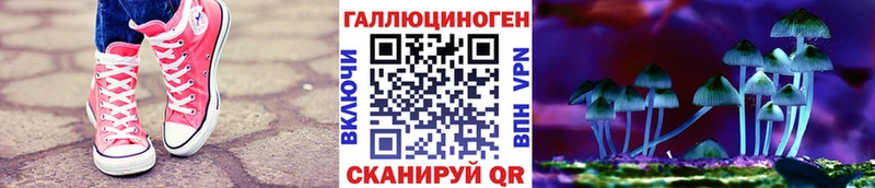 магазин    Морозовск  Галлюциногенные грибы Psilocybine cubensis 