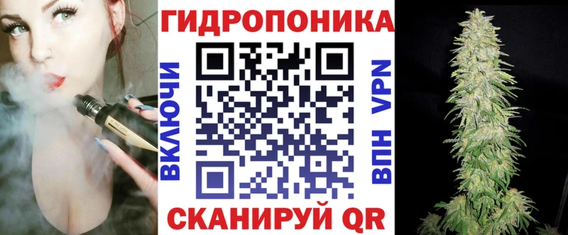 Каннабис сатива  купить  цена  ссылка на мегу ссылка  Морозовск 